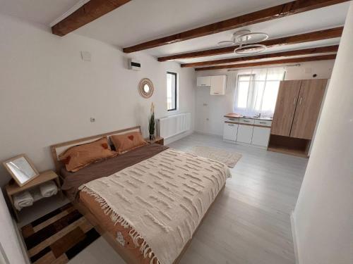 1 dormitorio con 1 cama grande y cocina en DS beauty center en Drăgăşani