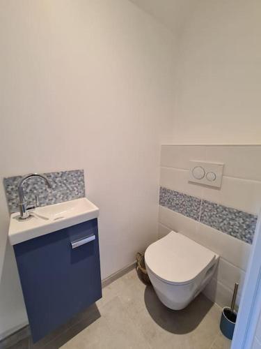 une salle de bain avec toilettes et lavabo dans l'établissement Appartement Douceur entre lac et montagnes, à Saint-Jorioz