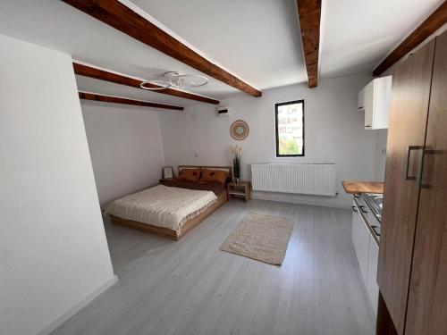 Cet appartement comprend une chambre avec un lit et une cuisine. dans l'établissement Ds Beauty Center, à Drăgăşani