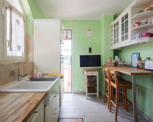 a kitchen with green walls and a sink and a television at Villa Ennio in Ciampino