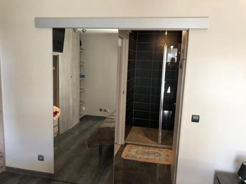 a bathroom with a glass door leading into a room at Bord canal tranquillité demain nous appartient in Sète