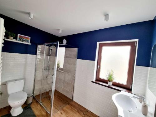 a bathroom with a toilet and a shower and a sink at Twin Cabins / Cabanele Gemene in Suceava