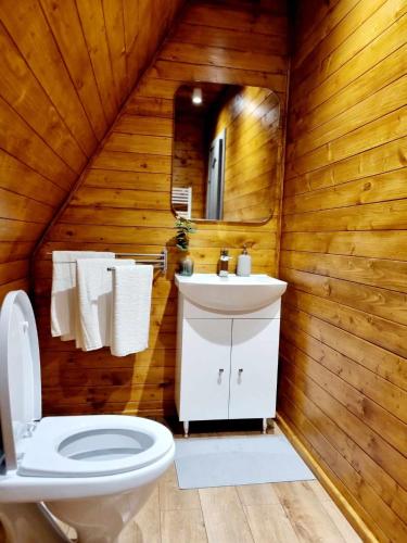 a bathroom with a toilet and a sink in a log cabin at Twin Cabins / Cabanele Gemene in Suceava