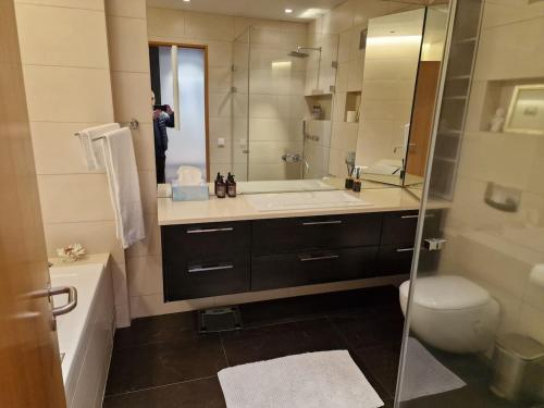 Alfred's Premium Vatnsstígur في ريكيافيك: حمام مع حوض ومرحاض ومرآة