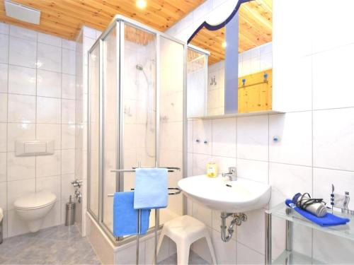 a bathroom with a shower and a sink and a toilet at Ferienwohnung RiPa Erzgebirge in Schwarzenberg in Schwarzenberg