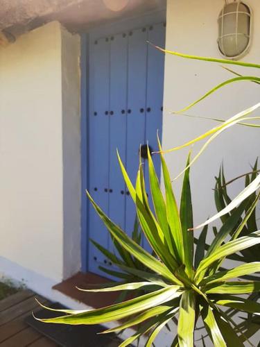 Alai, Exótico bungalow en la playa