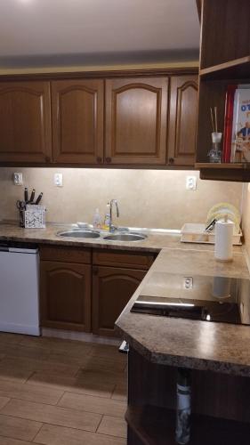 a kitchen with wooden cabinets and a counter top at Гери2 in Arbanasi