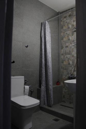 Un baño con inodoro, ducha y lavabo. en Zeusplace Anastasia's Apartment 2, en Litóchoron