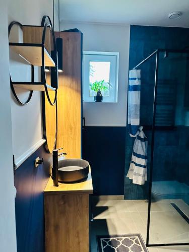 a bathroom with a sink and a shower at Bliżej Lasu in Śliwice