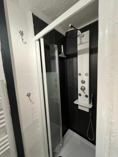 eine Dusche mit einer Glastür in einem Badezimmer in der Unterkunft Le central in Barcelonnette