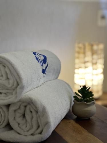a stack of towels on a table with a plant at Hotel Jeri in Jericoacoara