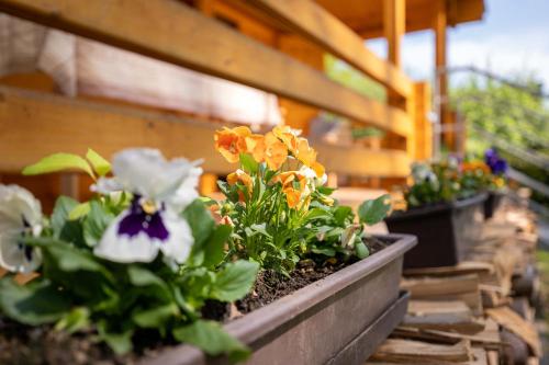 a row of flowers in a planter on a balcony at srub slovenice in Dolní Slověnice