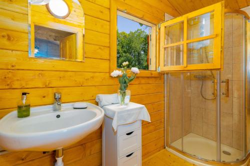 y baño con lavabo y ducha. en srub slovenice, 