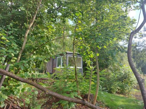 a small cabin in the middle of trees at Bauwagen Gnubbel am Jahnteich in Weißwasser
