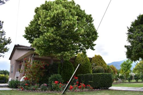 un árbol frente a una casa con flores en Ktima Nostos, en Volos
