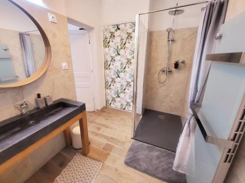 ein Bad mit einer Dusche, einem Waschbecken und einem Spiegel in der Unterkunft Villa-nova avec spa à 5 minutes des remparts. in Avignon