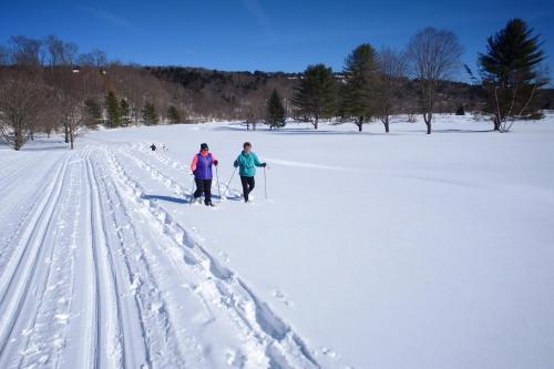 冬のAprès Ski Havenの様子