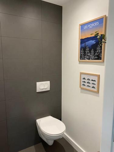 une salle de bain avec toilettes et un tableau au mur dans l'établissement Appartement Gérardmer, à Gérardmer