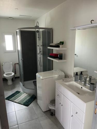 une salle de bain avec une douche, des toilettes et un lavabo dans l'établissement Jolie petite maison 4-6 couchages, à Auchy-les-Mines