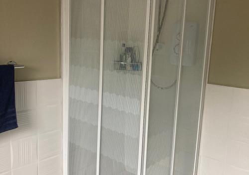 W łazience znajduje się prysznic z białymi szklanymi drzwiami. w obiekcie Kilaturley house apartment w mieście Swinford