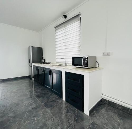 A kitchen or kitchenette at The Seaview Flat