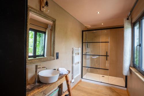 een badkamer met een wastafel en een douche bij La Villa Ava in Somme-Leuze