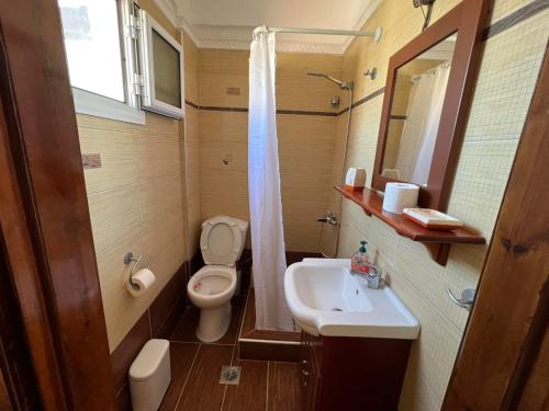 a small bathroom with a toilet and a sink at HOUSE ALLA in Pefkohori