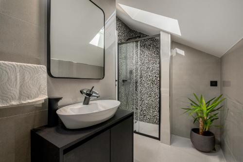 a bathroom with a sink and a mirror and a shower at Luxury Suite All You Need in Dubrovnik