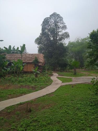 a path leading to a house in a field at Ngoặng homestay - phòng nghỉ trọ in Chiêm Hóa