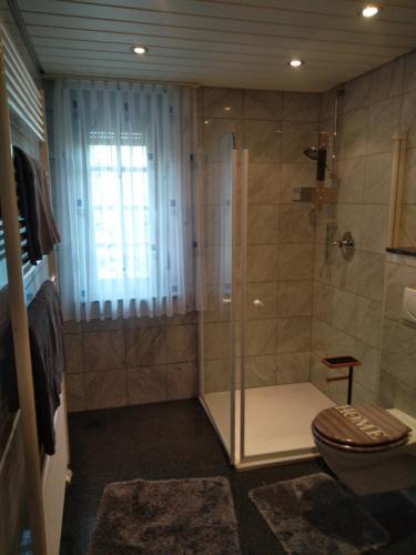 ein Badezimmer mit Dusche und Toilette in der Unterkunft Posträuberquartier in Gladenbach