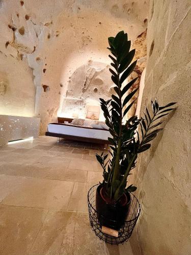a potted plant in a room with a bed at CASA VACANZE BB 164-166 in Matera