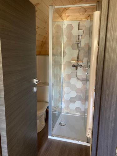 uma cabina de duche em vidro numa casa de banho com WC em Chalet Suédois cocooning em Chazelles
