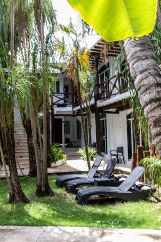 a row of lounge chairs in a yard with palm trees at Casaejido in Playa del Carmen