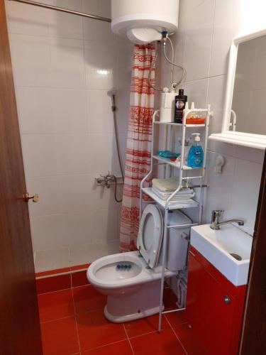 een badkamer met een toilet en een wastafel bij Belanovica in Belanovica