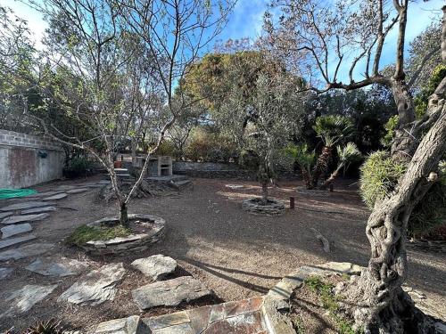 a group of trees in a yard with rocks at La Caseta de Cadaqués in Cadaqués