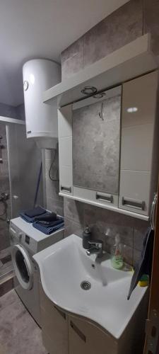 uma casa de banho com um lavatório e uma máquina de lavar roupa em Apartman Vanja em Paraćin