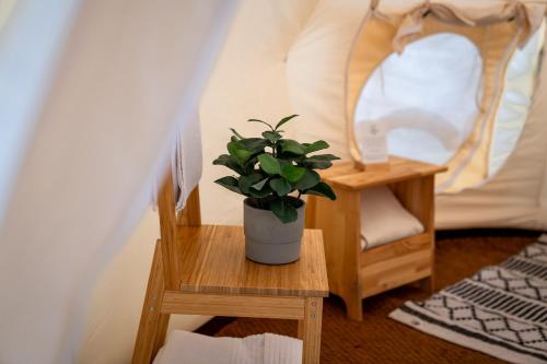 a potted plant sitting on a table next to a bed at Glamping Gozdna Jasa in Bovec