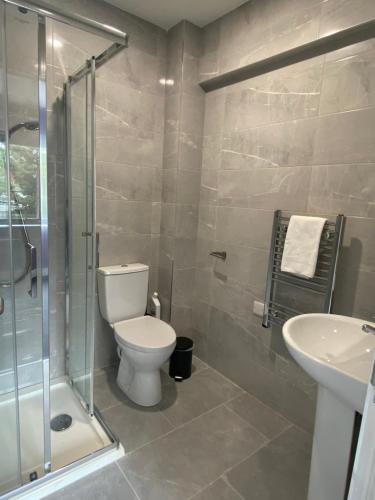 uma casa de banho com um WC, um chuveiro e um lavatório. em Madison House em Galway