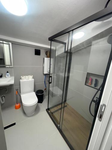 La salle de bains est pourvue de toilettes et d'une douche en verre. dans l'établissement King Size Apartment, à Skopje