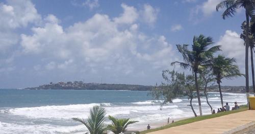 ein Strand mit Palmen und dem Meer in der Unterkunft Dunas de Cotovelo in Parnamirim