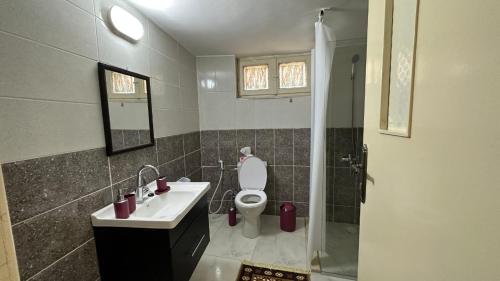 y baño con aseo, lavabo y ducha. en The vintage apartment en Amán