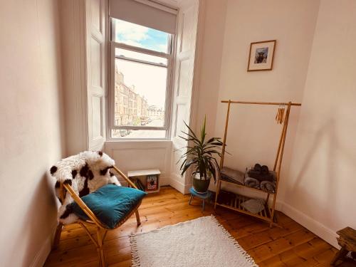 a living room with a chair and a window at Gorgie Nook in Edinburgh
