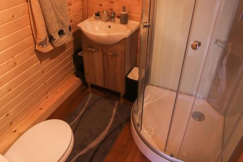 a bathroom with a shower and a toilet and a sink at Zoo park Ranč Aladin - Glamping apartment in Mirna