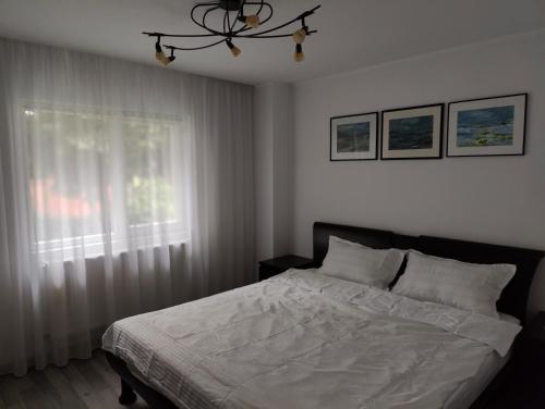 a bedroom with a bed and a window at Central Residence in Câmpulung