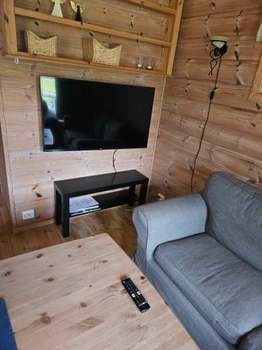 a living room with a couch and a flat screen tv at Saltvold Hytte Nr8 in Røldal