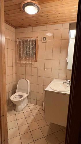 a small bathroom with a toilet and a sink at Saltvold Hytte Nr8 in Røldal