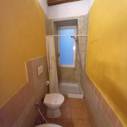 a bathroom with a toilet and a window and a tub at Saint Mary Magdalene in Acqui Terme