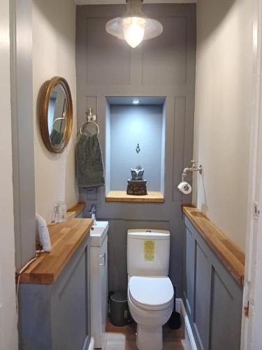 a bathroom with a toilet and a sink and a mirror at SMUGGLERS HATCH in Marske-by-the-Sea