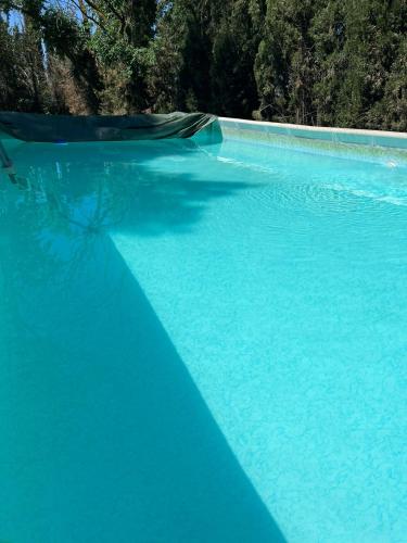 a large pool of blue water with trees in the background at Finca Los Molinos in La Alameda de Cervera
