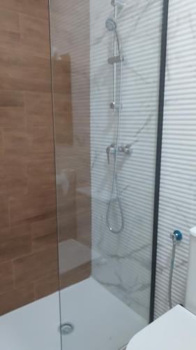 eine Dusche mit Glastür im Bad in der Unterkunft dama ibérica III in Valencia